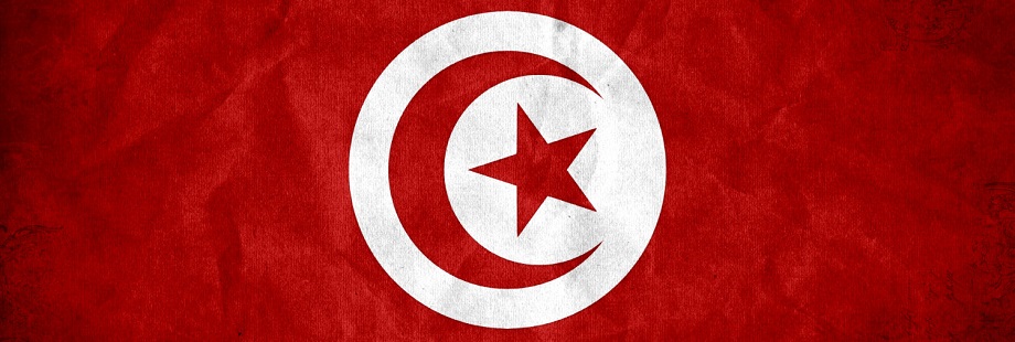 140249730125283 1 other wallpapers tunisia flag