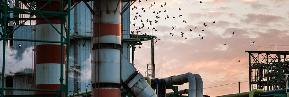 ADAMA CHEMICAL PLANT