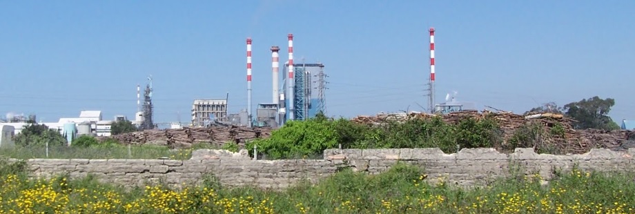 Celcacia3